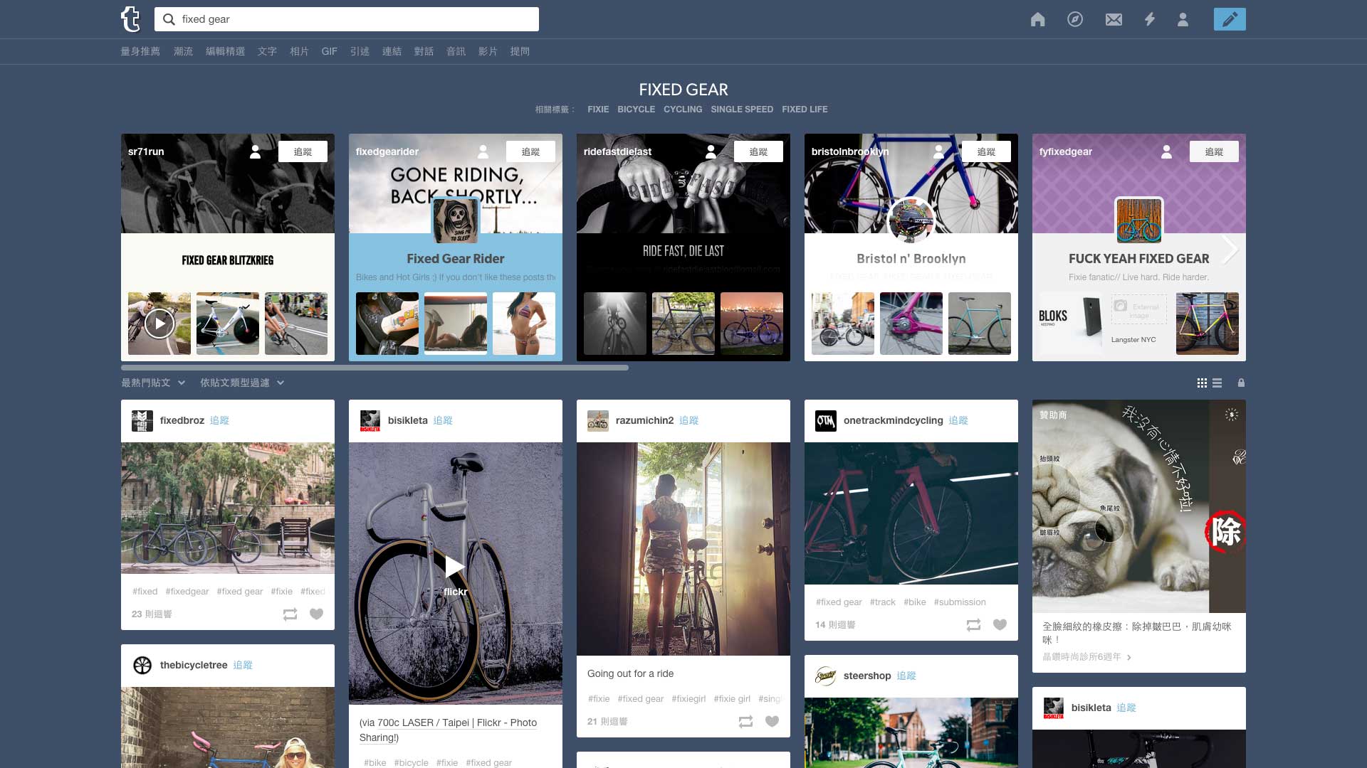 Tumblr 主題探索介面，擅長整合同類型的部落格內容給使用者